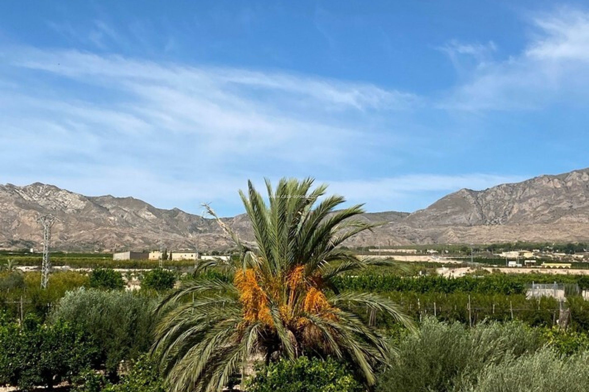 Herverkoop - Country Property/Finca - Albatera - Inland