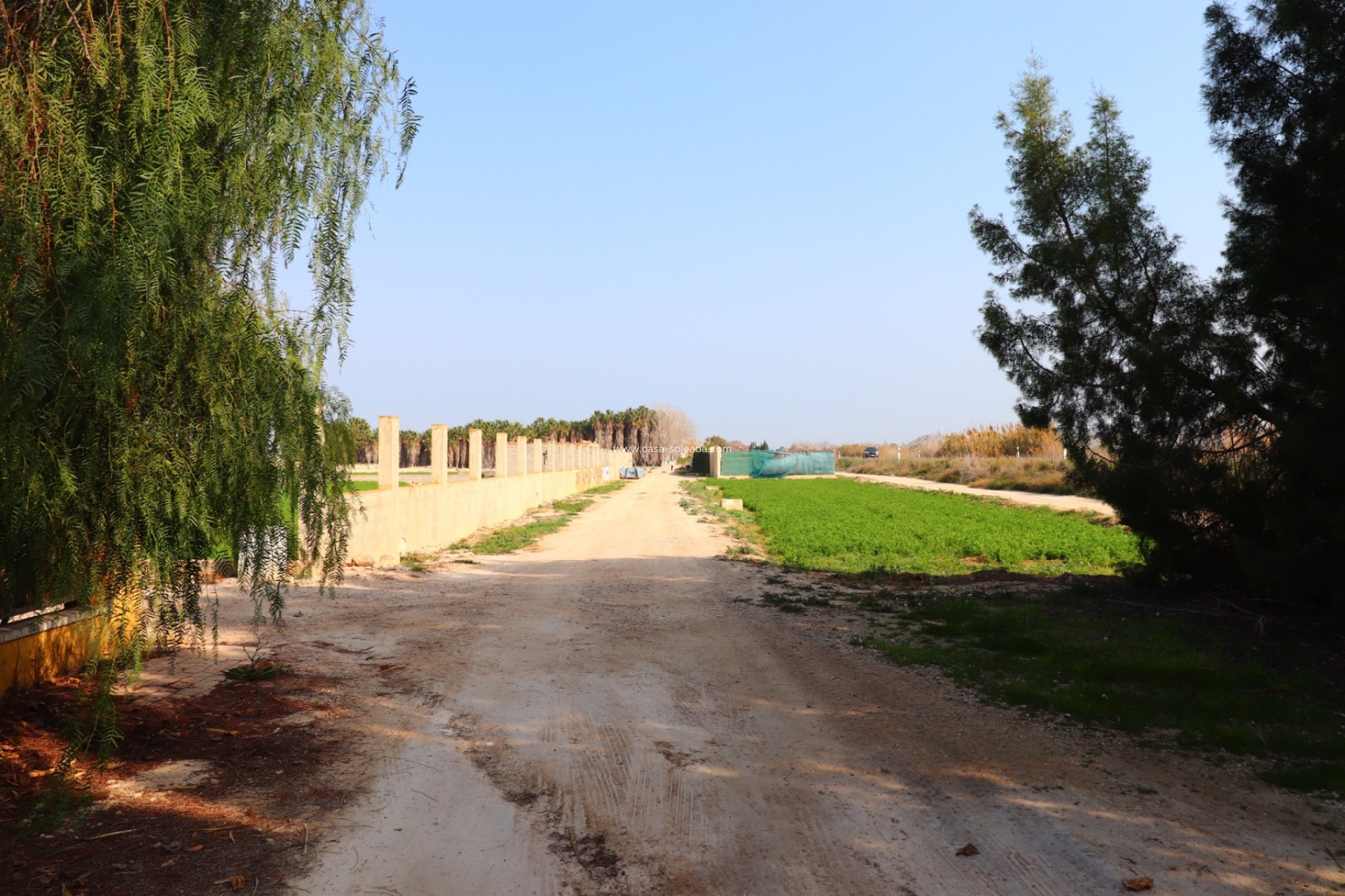 Herverkoop - Country Property/Finca - Daya Vieja - Daya vieja