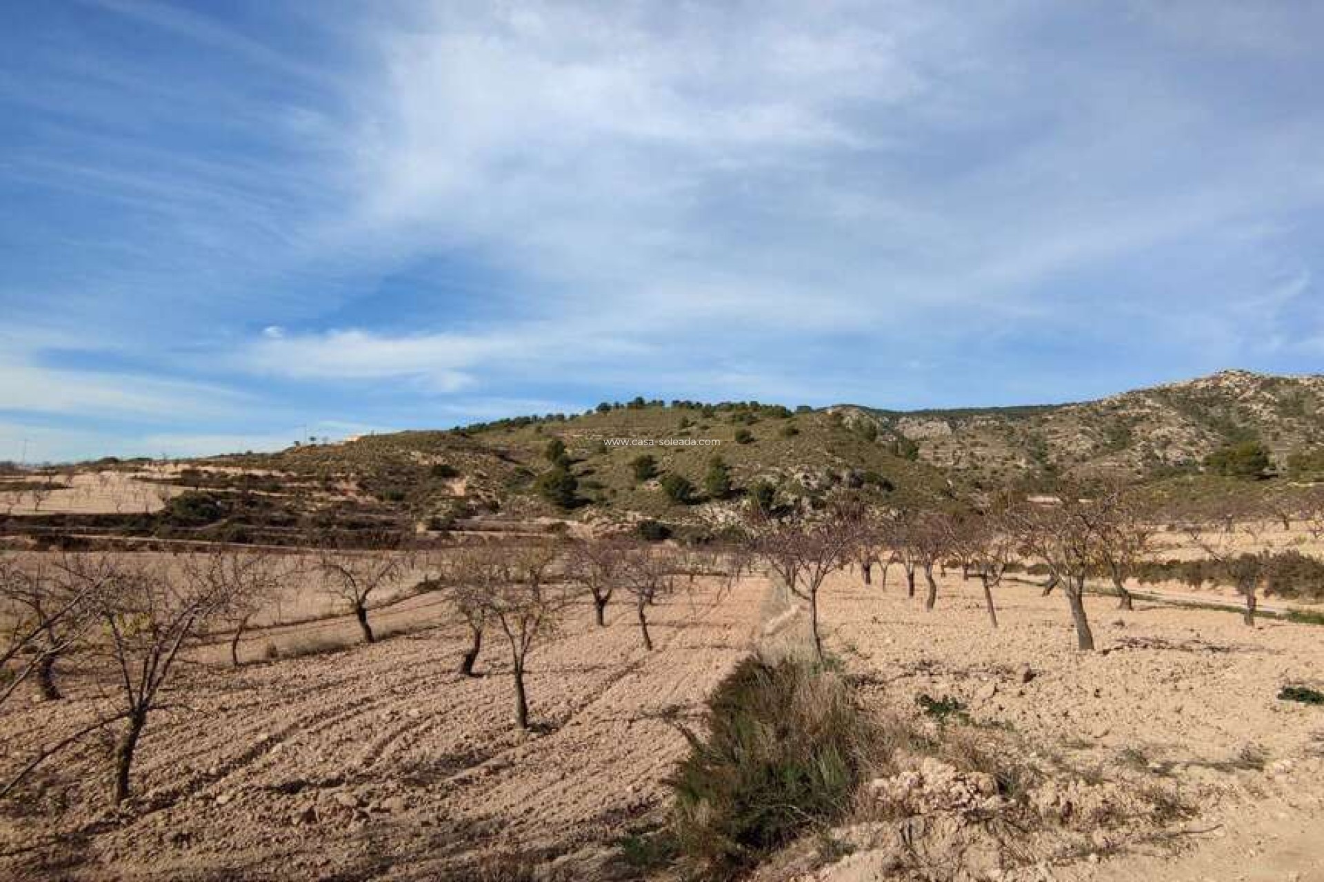 Herverkoop - Country Property/Finca - Jumilla - Inland