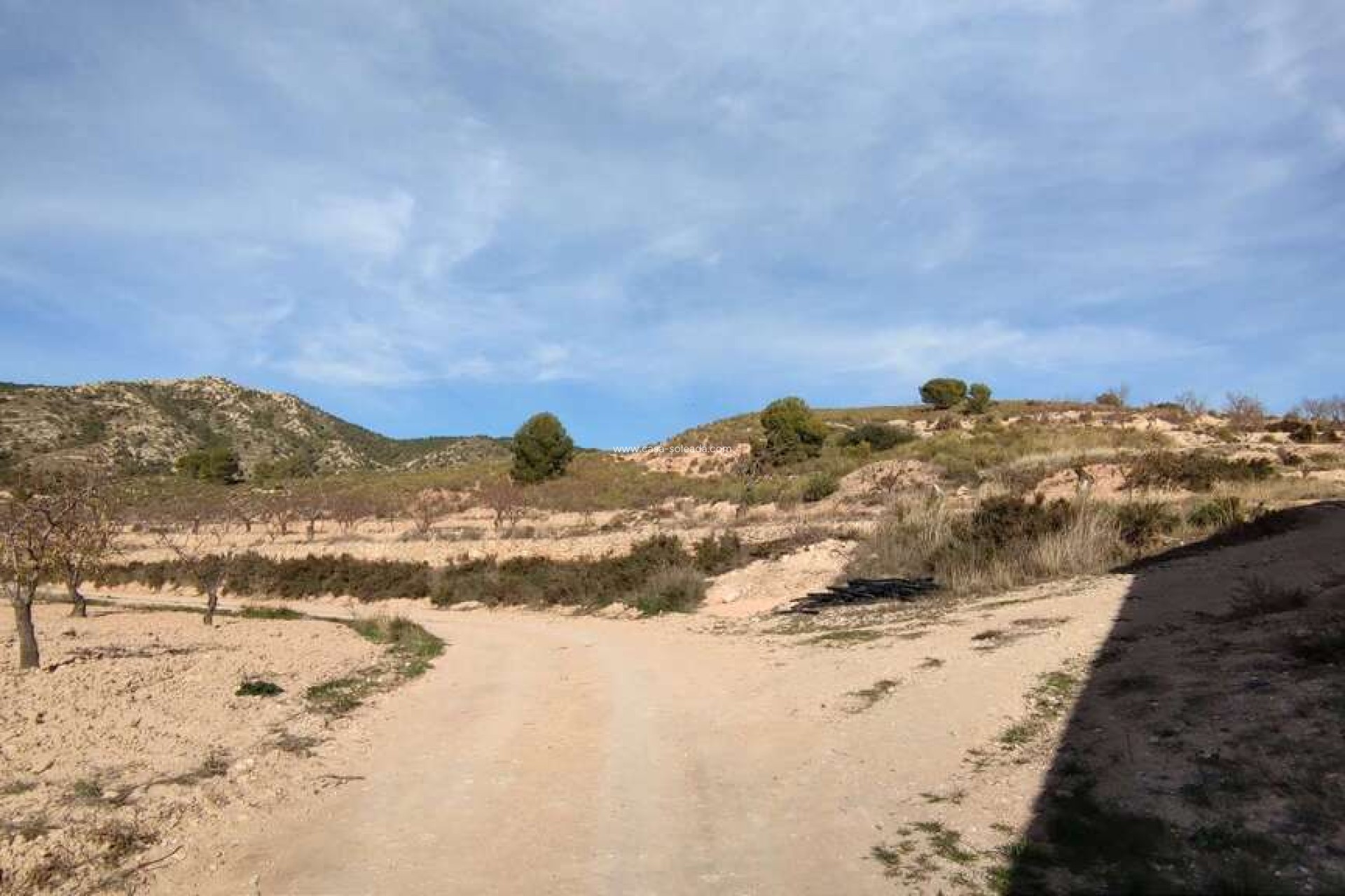 Herverkoop - Country Property/Finca - Jumilla - Inland