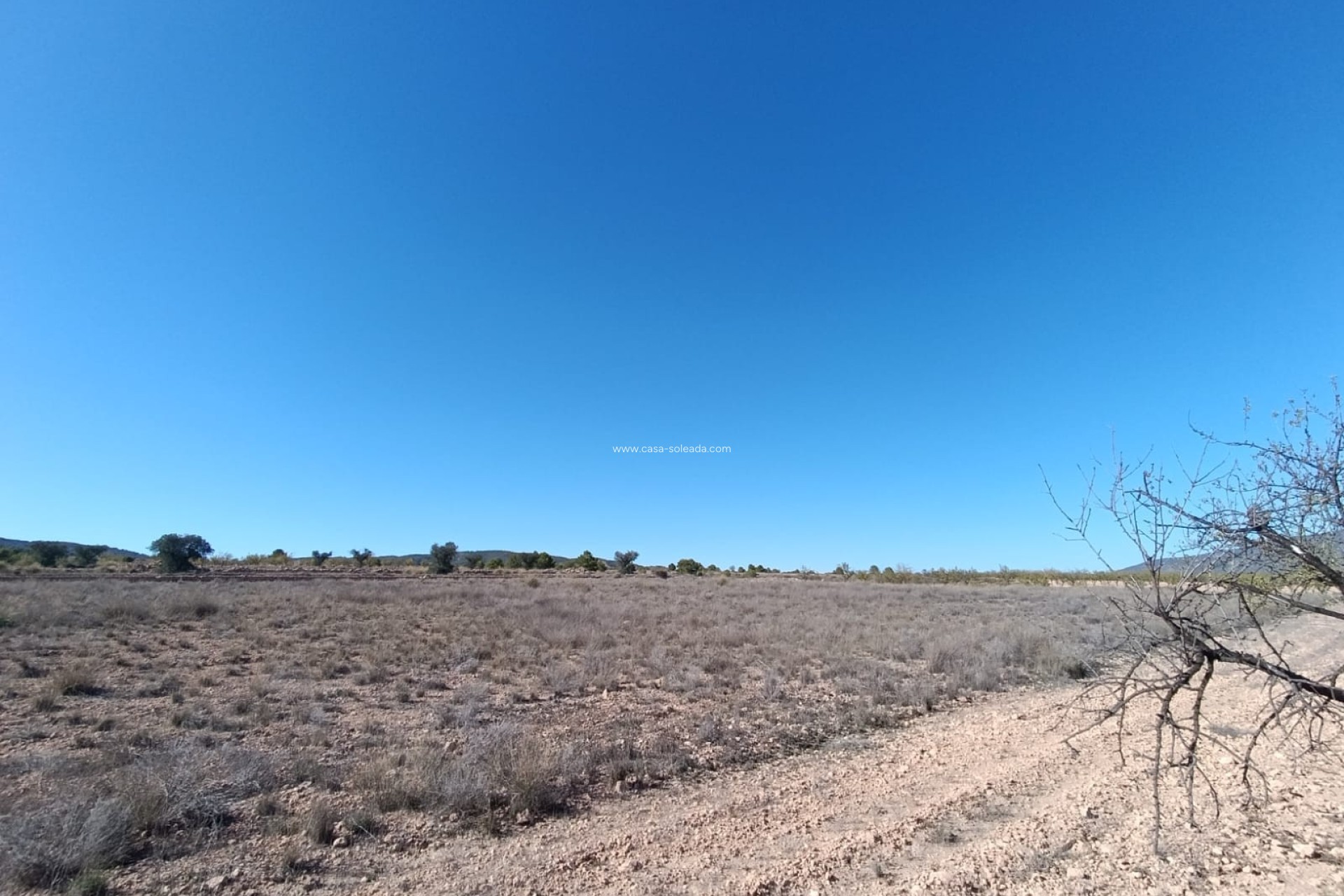 Herverkoop - Country Property/Finca - Jumilla - Inland