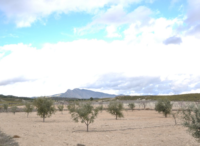 Herverkoop - Country Property/Finca - Jumilla - Inland