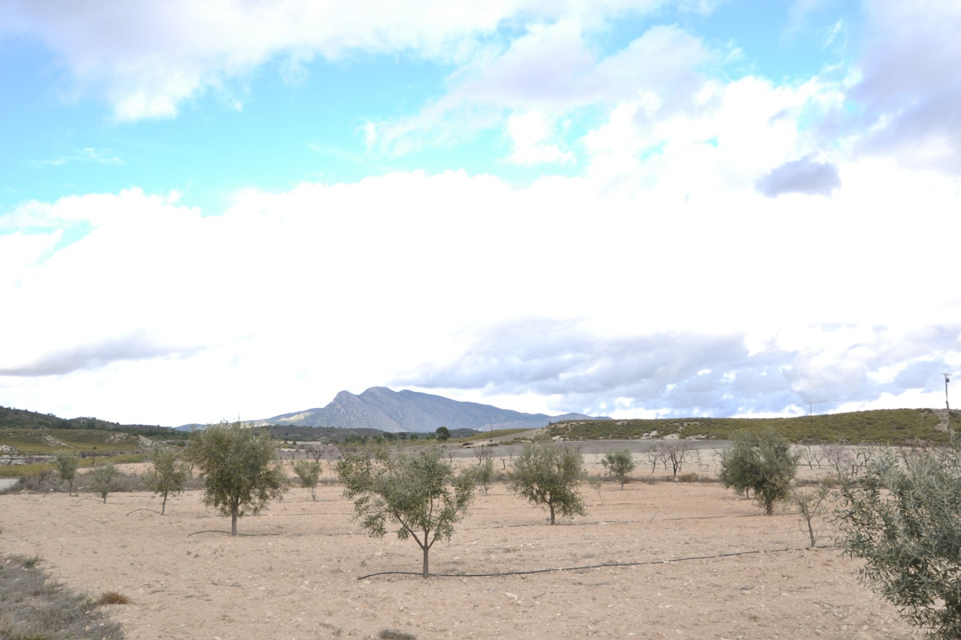 Herverkoop - Country Property/Finca - Jumilla - Inland