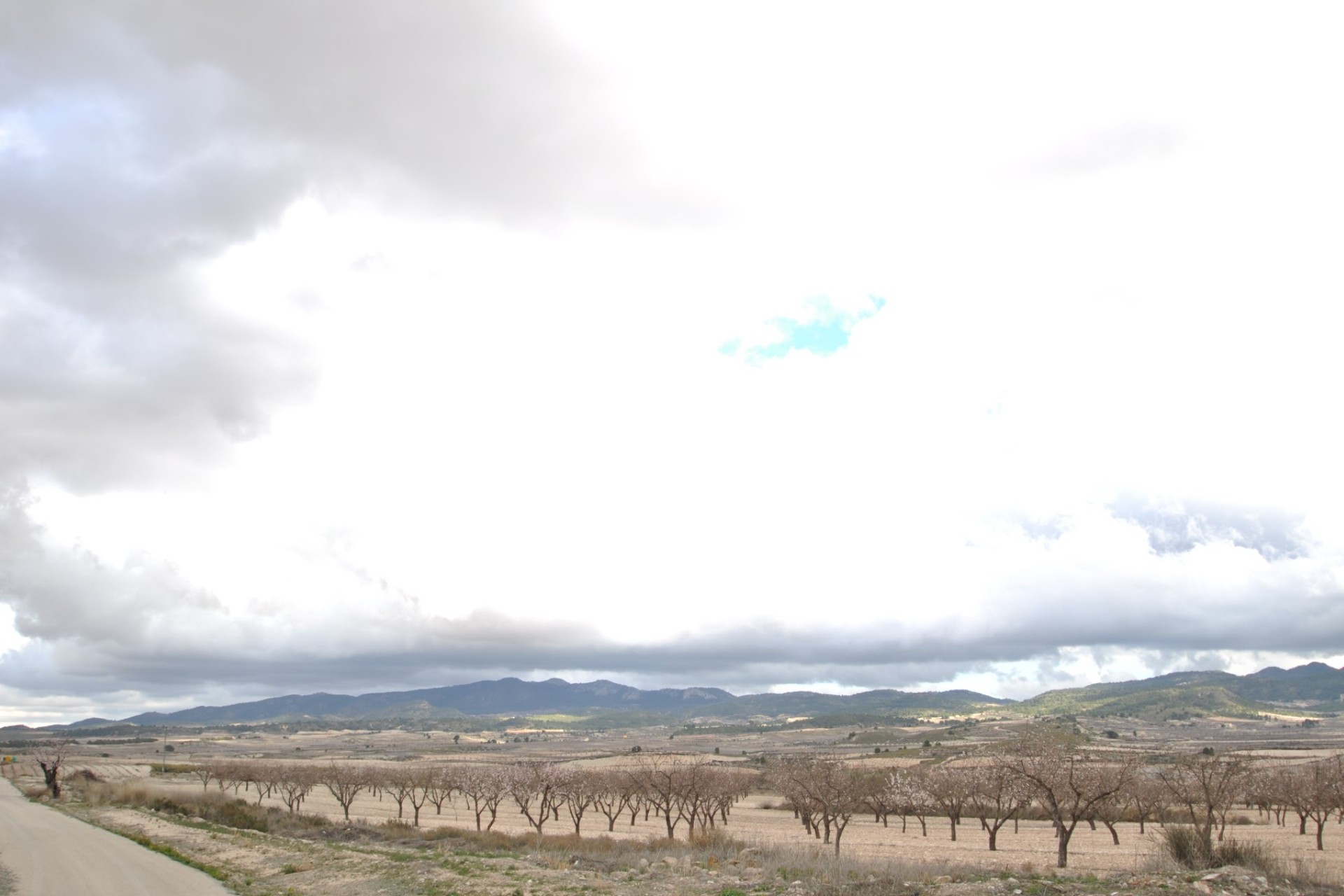 Herverkoop - Country Property/Finca - Jumilla - Inland