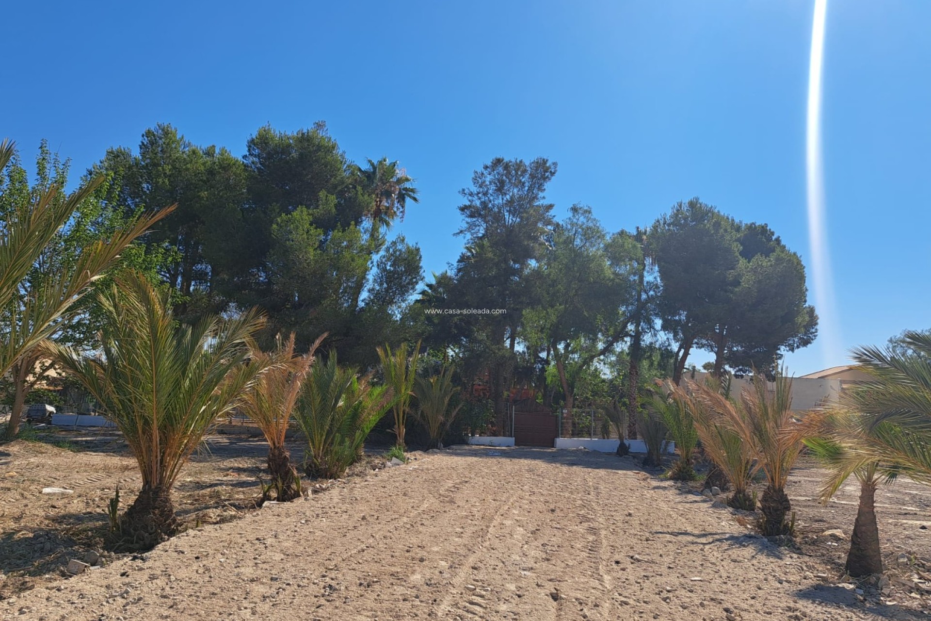 Herverkoop - Country Property/Finca - Orihuela - Inland