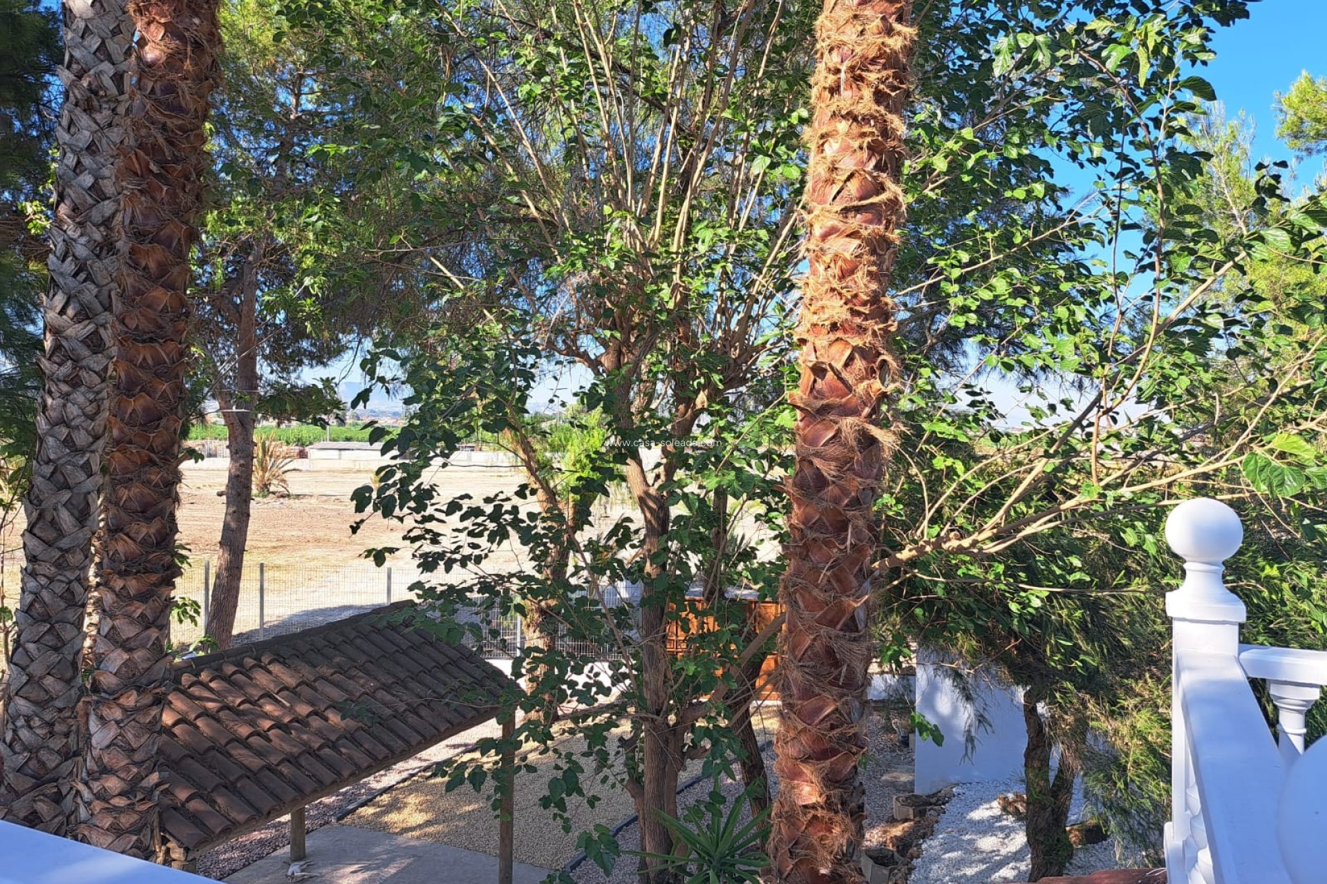 Herverkoop - Country Property/Finca - Orihuela - Inland