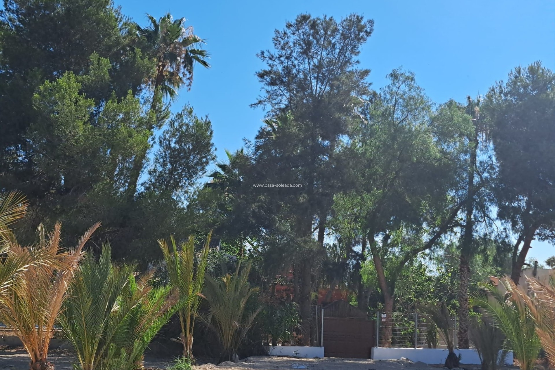 Herverkoop - Country Property/Finca - Orihuela - Inland