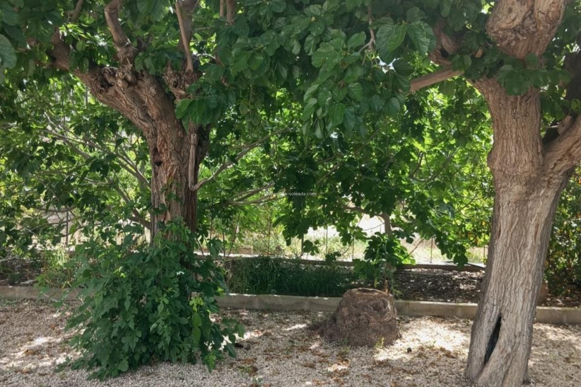 Herverkoop - Country Property/Finca - Redován - Inland