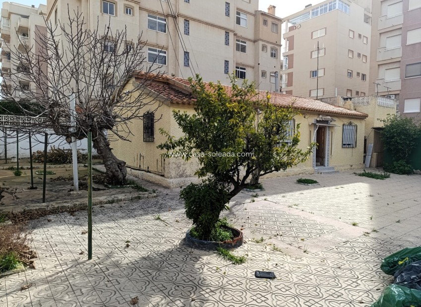 Herverkoop - Country Property/Finca - Torrevieja - Nueva Torrevieja