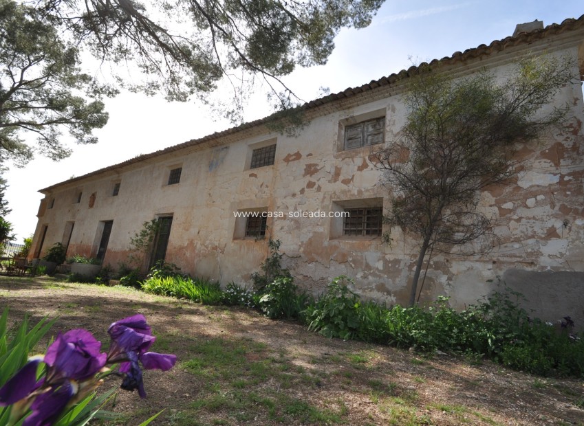 Herverkoop - Country Property/Finca - Yecla - Inland