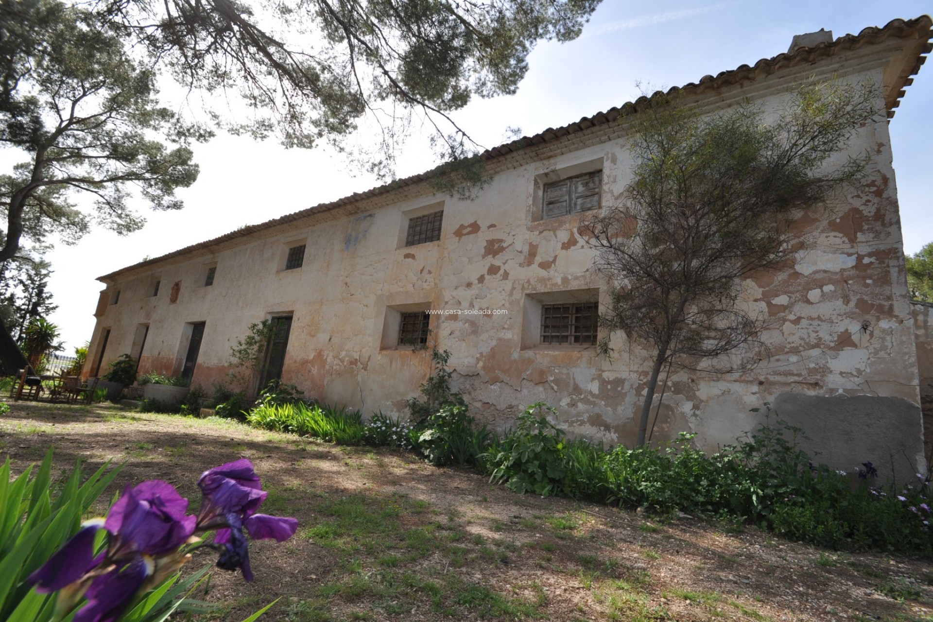 Herverkoop - Country Property/Finca - Yecla - Inland