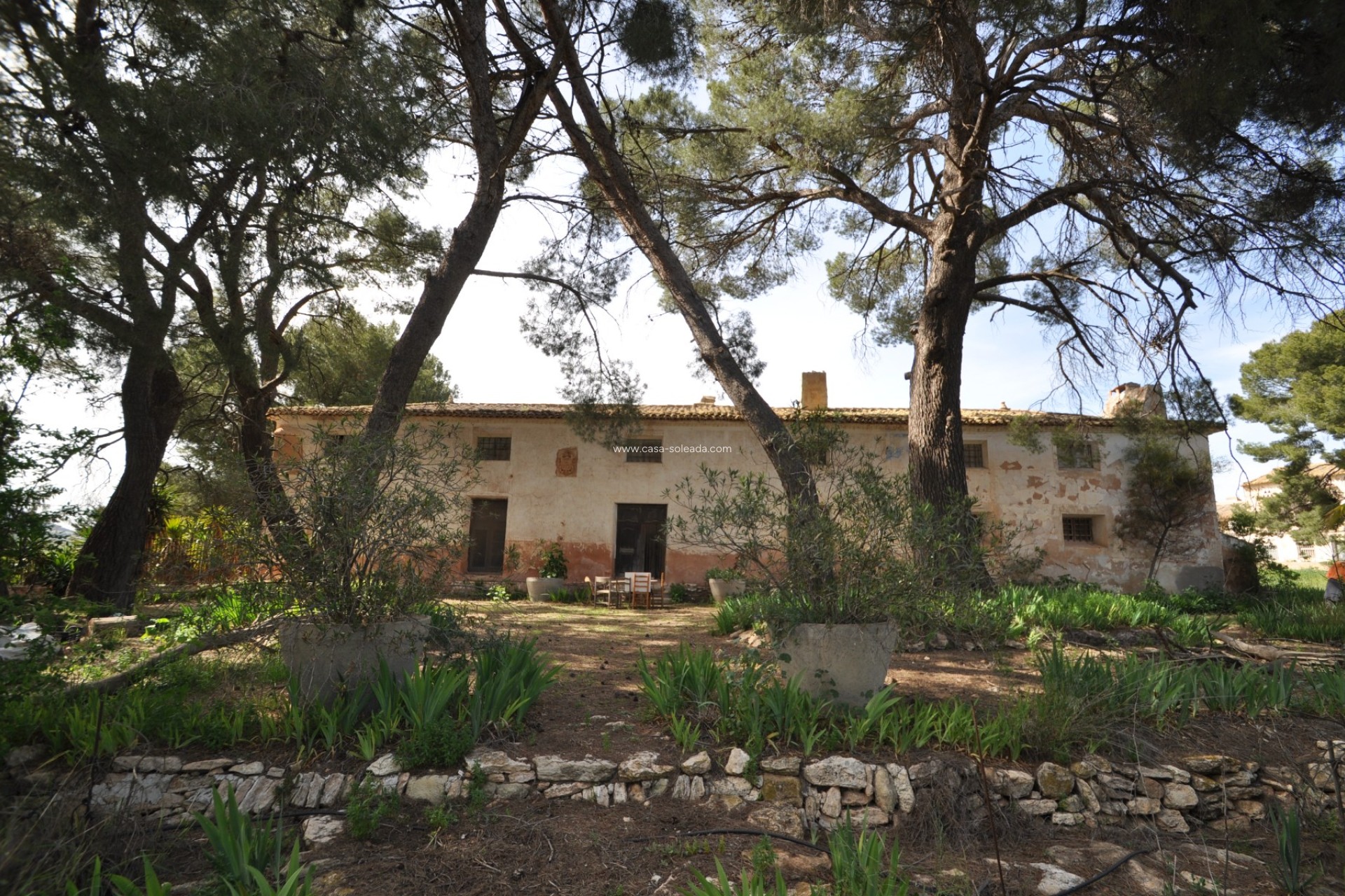 Herverkoop - Country Property/Finca - Yecla - Inland