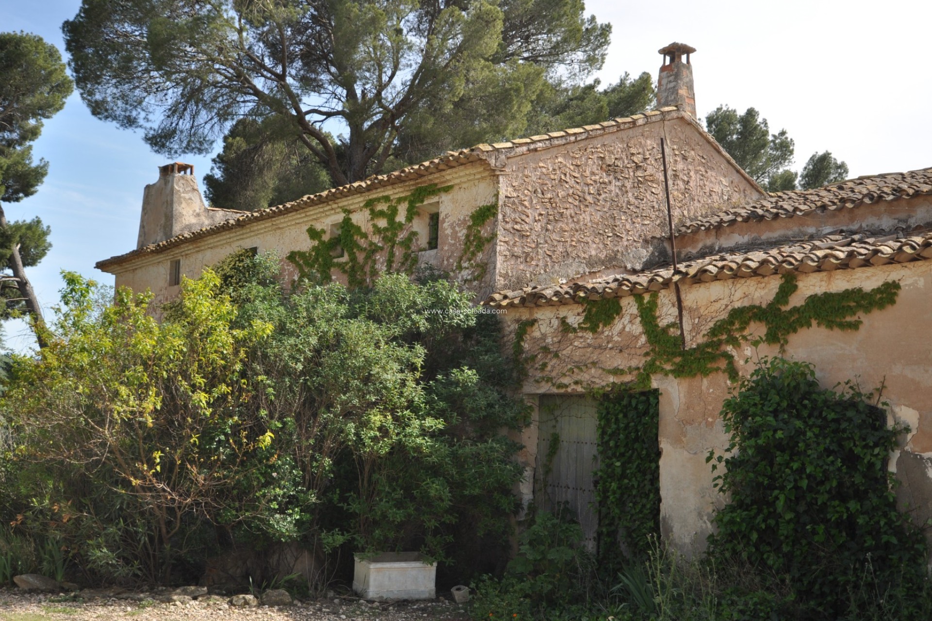 Herverkoop - Country Property/Finca - Yecla - Inland