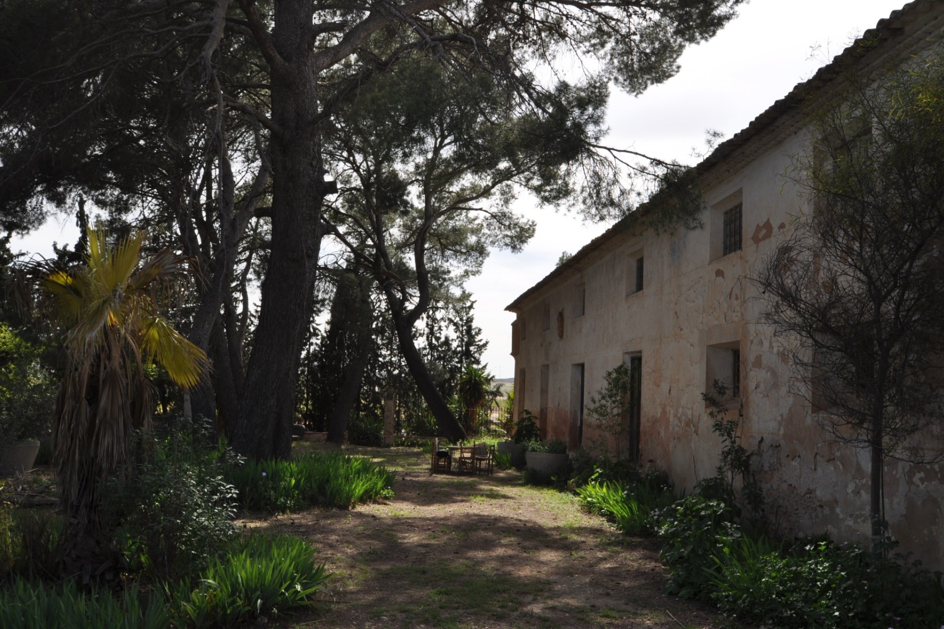 Herverkoop - Country Property/Finca - Yecla - Inland