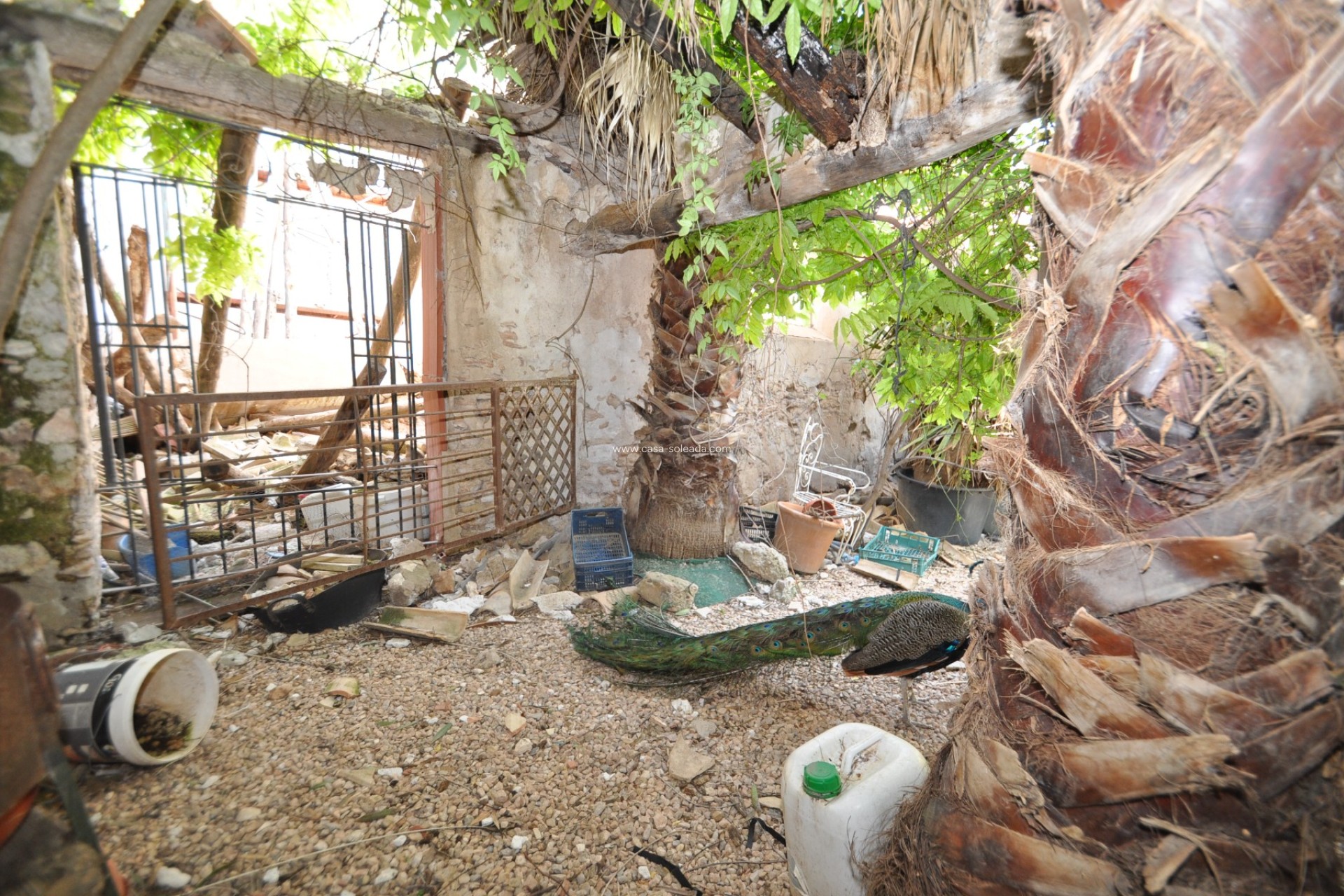 Herverkoop - Country Property/Finca - Yecla - Inland