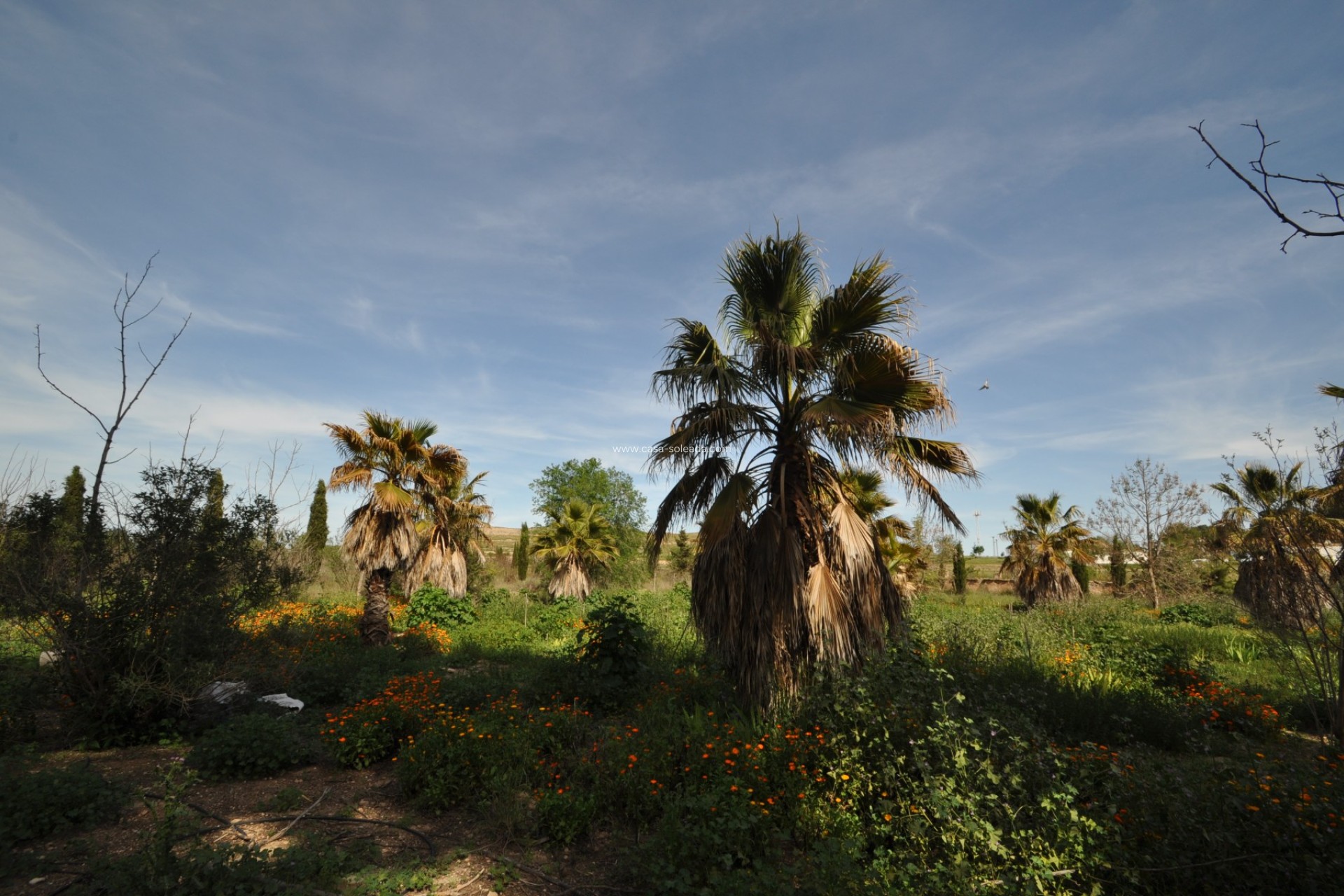 Herverkoop - Country Property/Finca - Yecla - Inland