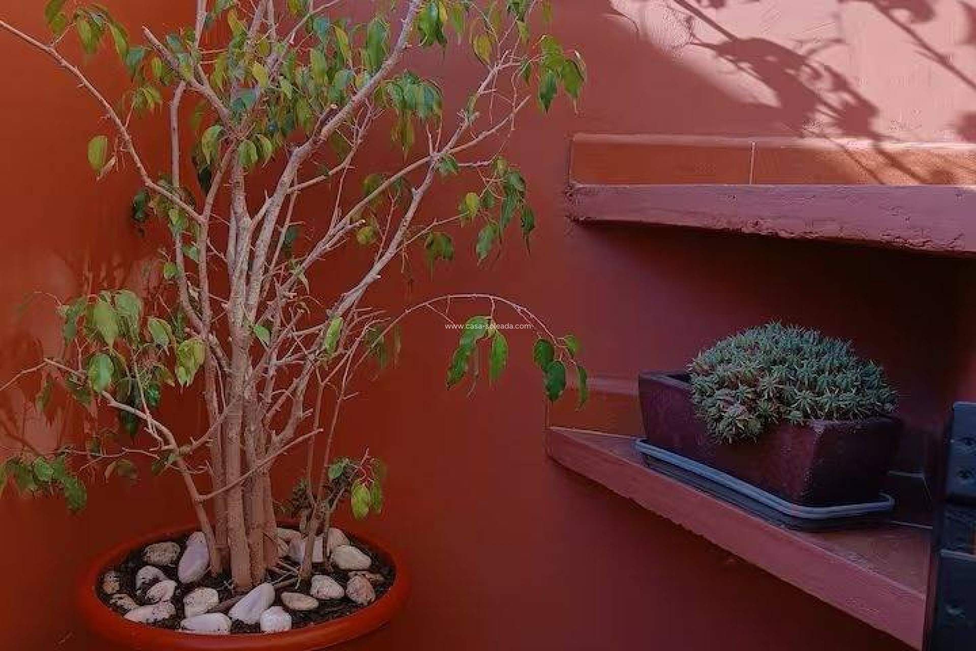 Herverkoop - Herenhuis - Torrevieja - Aguas nuevas