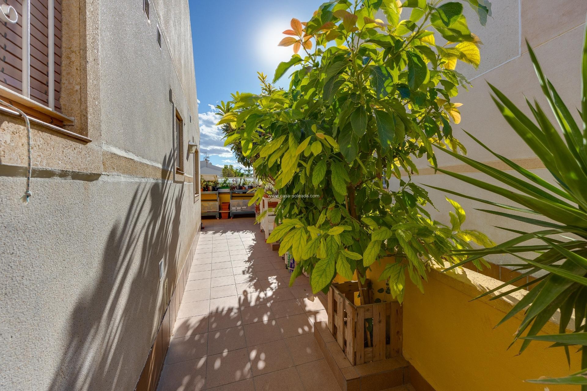 Herverkoop - Herenhuis - Torrevieja - Aguas nuevas
