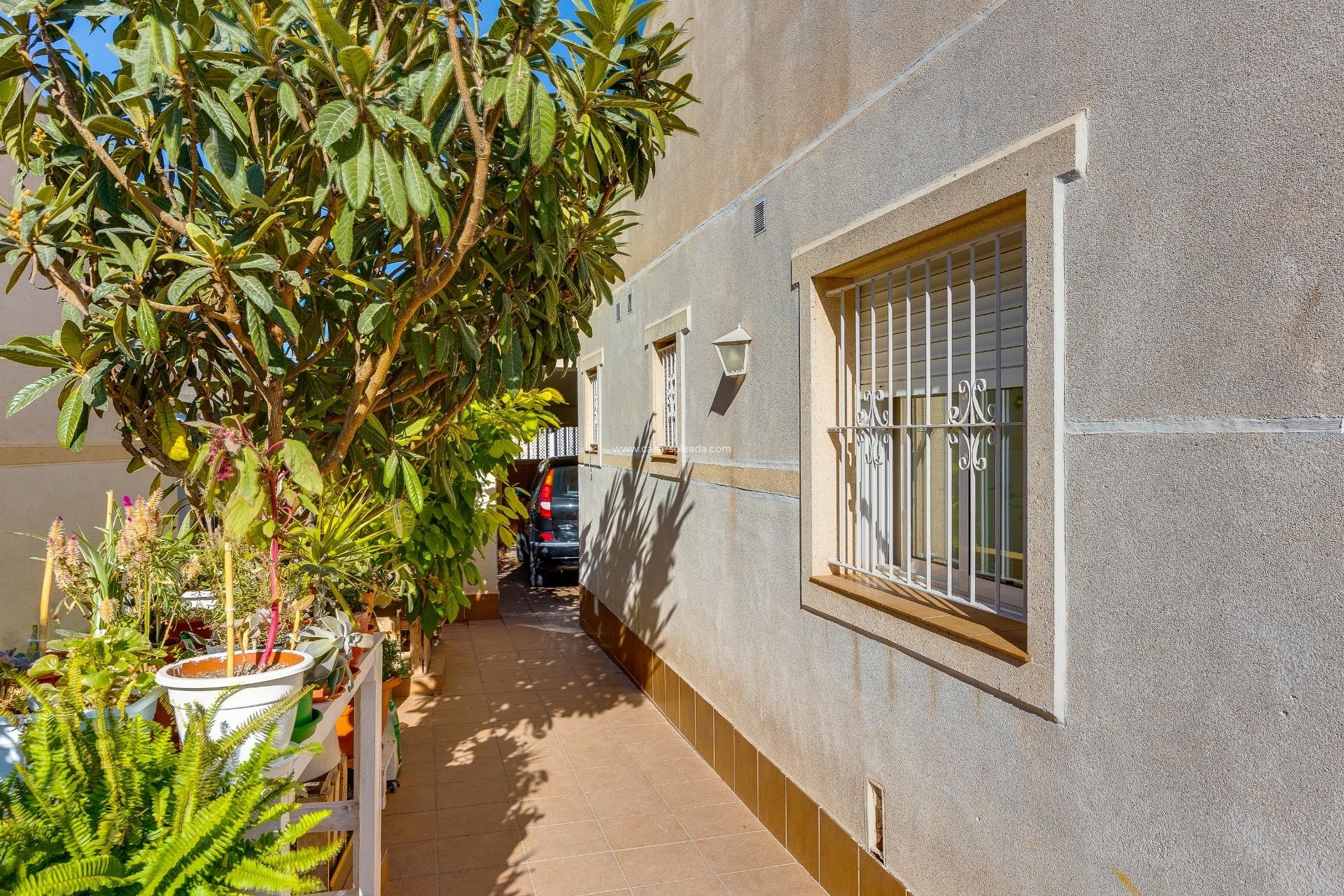 Herverkoop - Herenhuis - Torrevieja - Aguas nuevas