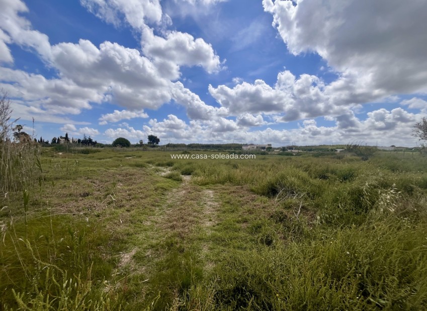 Herverkoop - Land - Catral - Costa Blanca