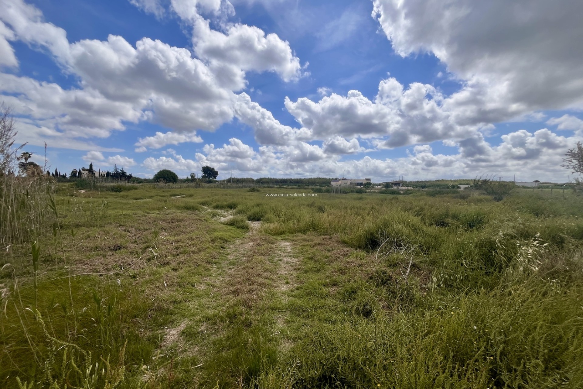 Herverkoop - Land - Catral - Costa Blanca