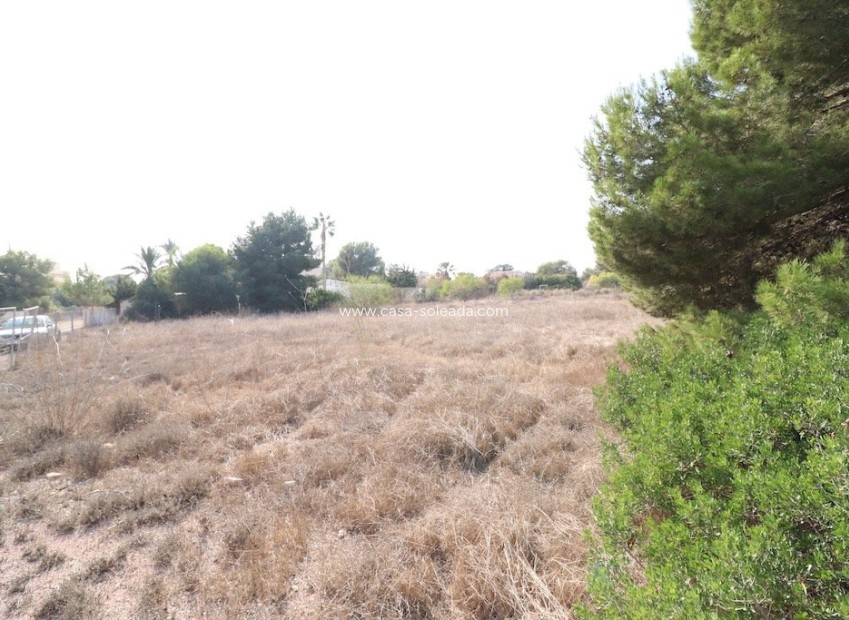 Herverkoop - Land - Orihuela Costa - Lomas de Cabo Roig