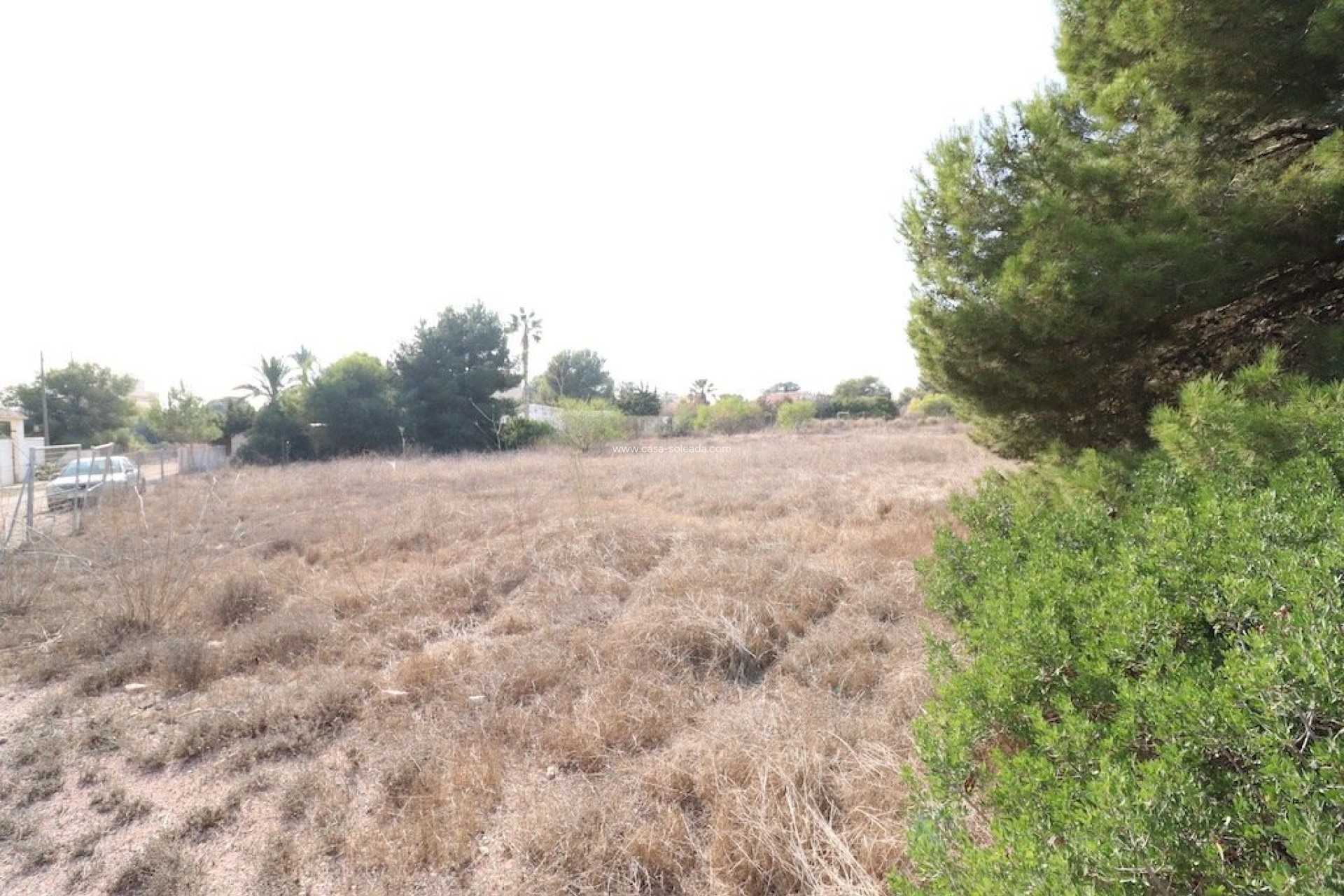 Herverkoop - Land - Orihuela Costa - Lomas de Cabo Roig
