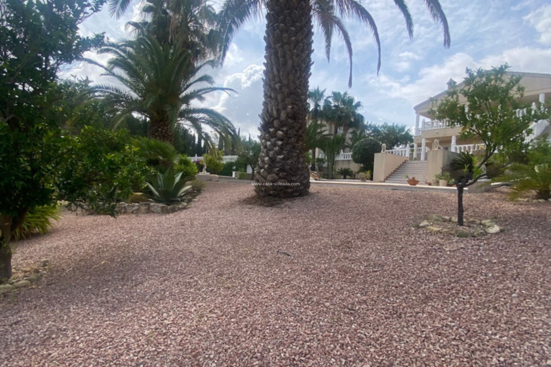 Herverkoop - Villa - Almoradí - Inland