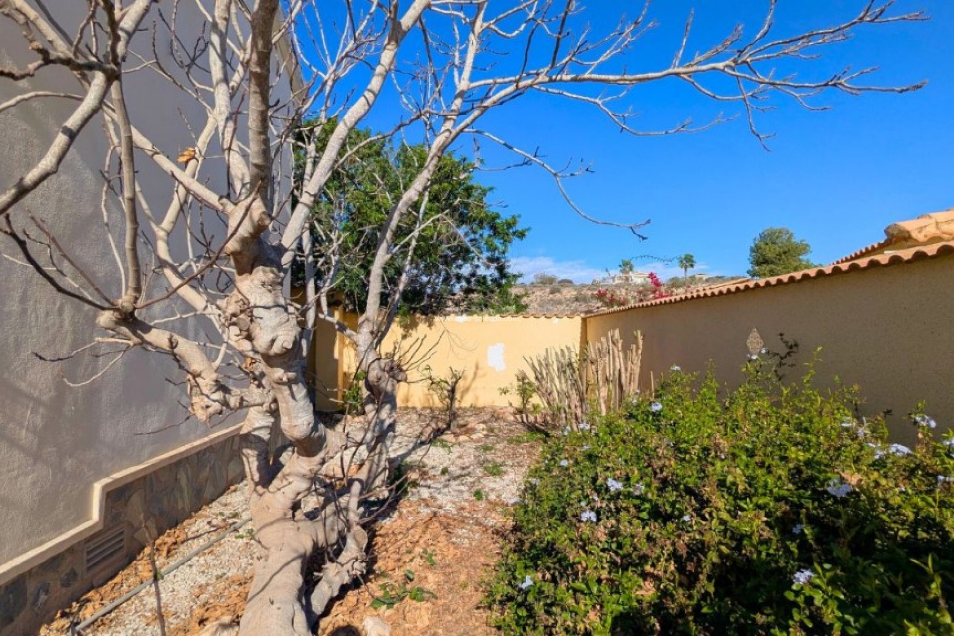 Herverkoop - Villa - Ciudad Quesada - Costa Blanca