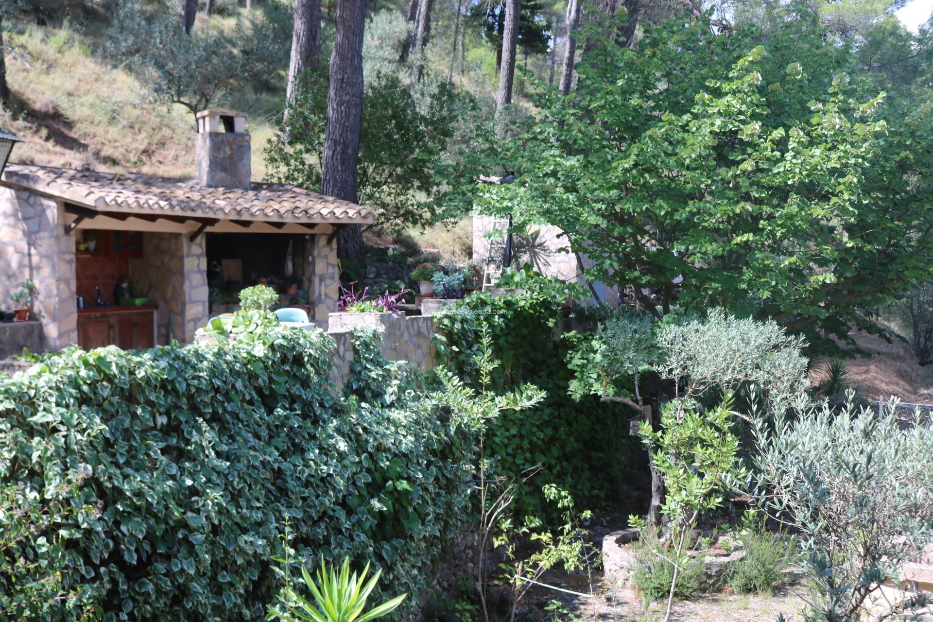 Herverkoop - Villa - Penaguila - Inland