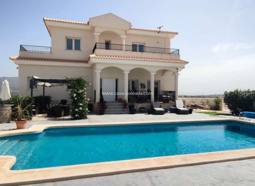 Herverkoop - Villa - Pinoso - Inland