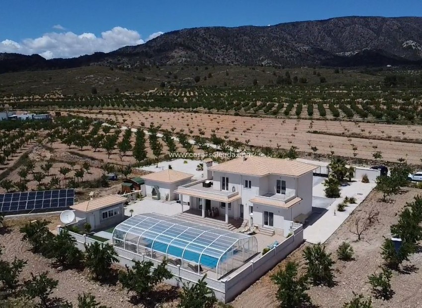 Herverkoop - Villa - Pinoso - Inland