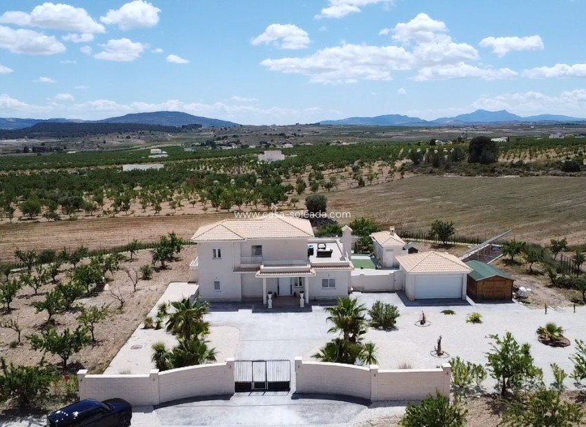 Herverkoop - Villa - Pinoso - Inland
