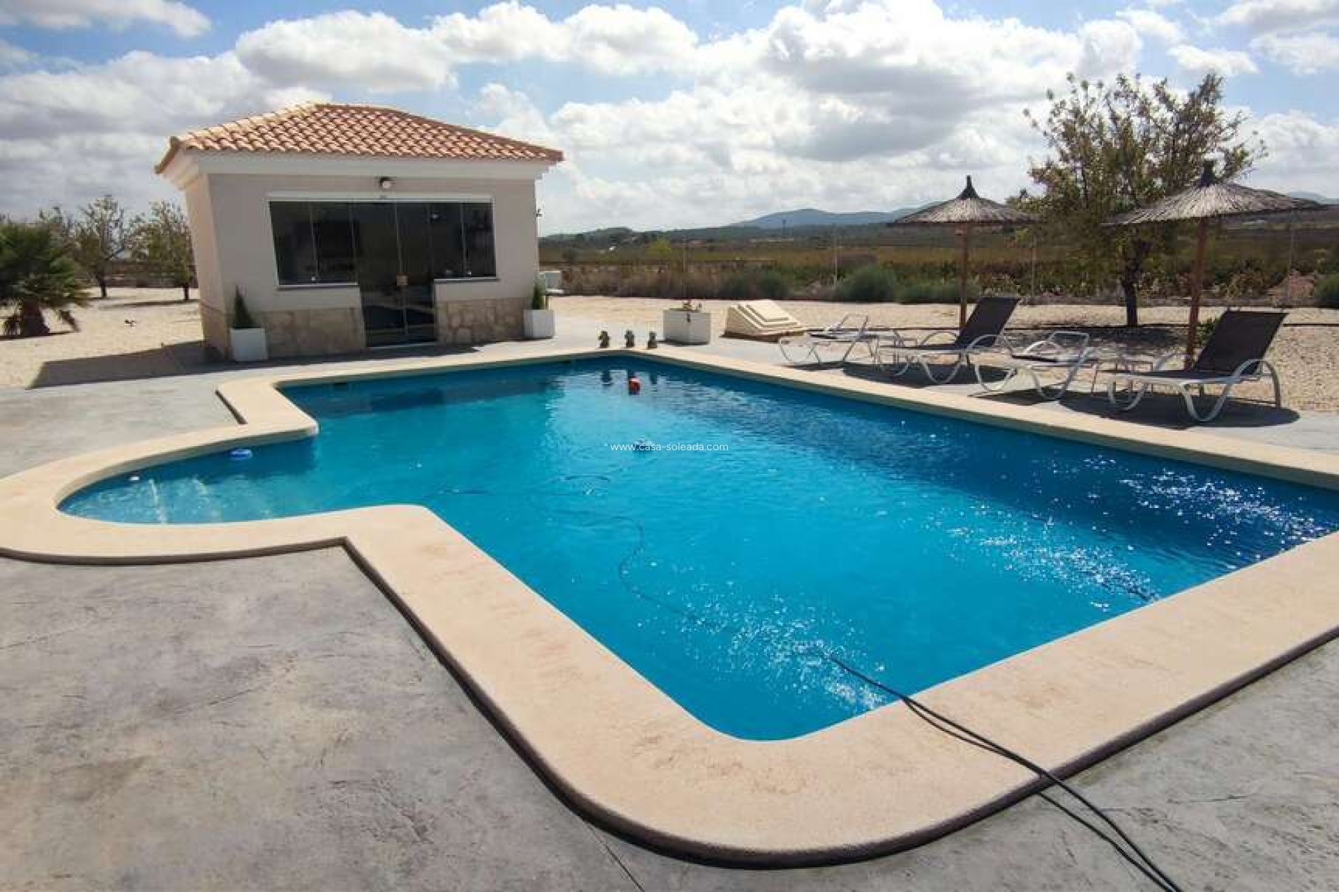 Herverkoop - Villa - Pinoso - Inland