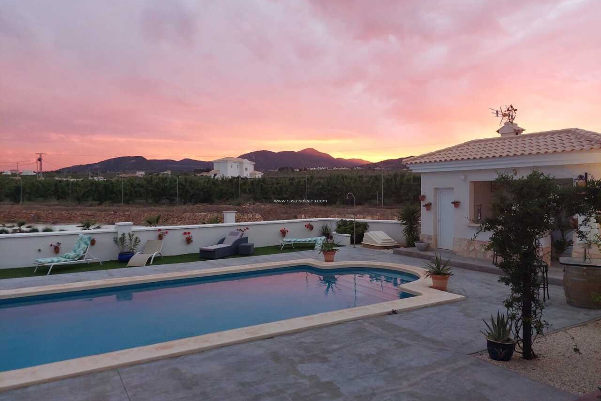 Herverkoop - Villa - Pinoso - Inland