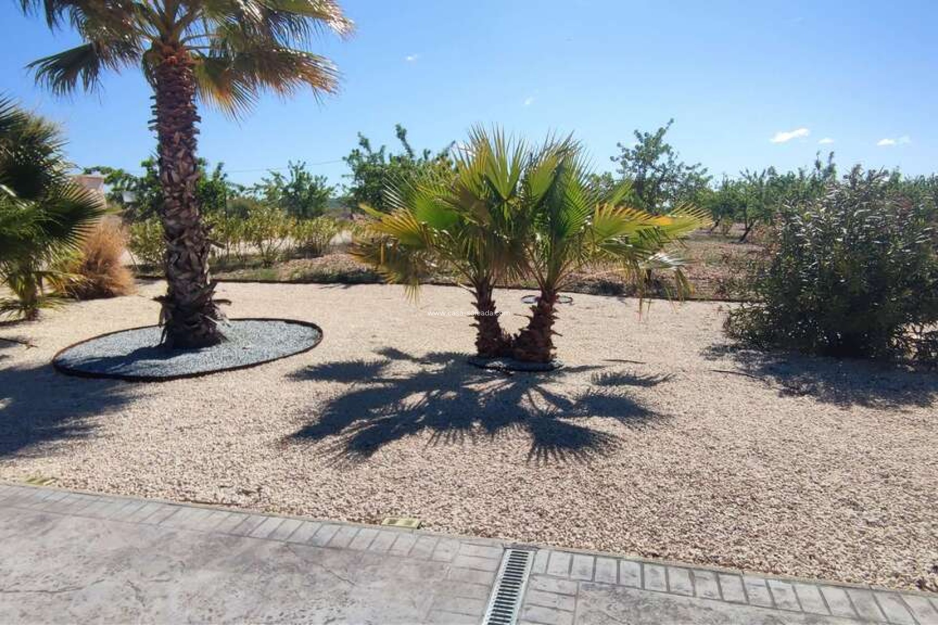 Herverkoop - Villa - Pinoso - Inland