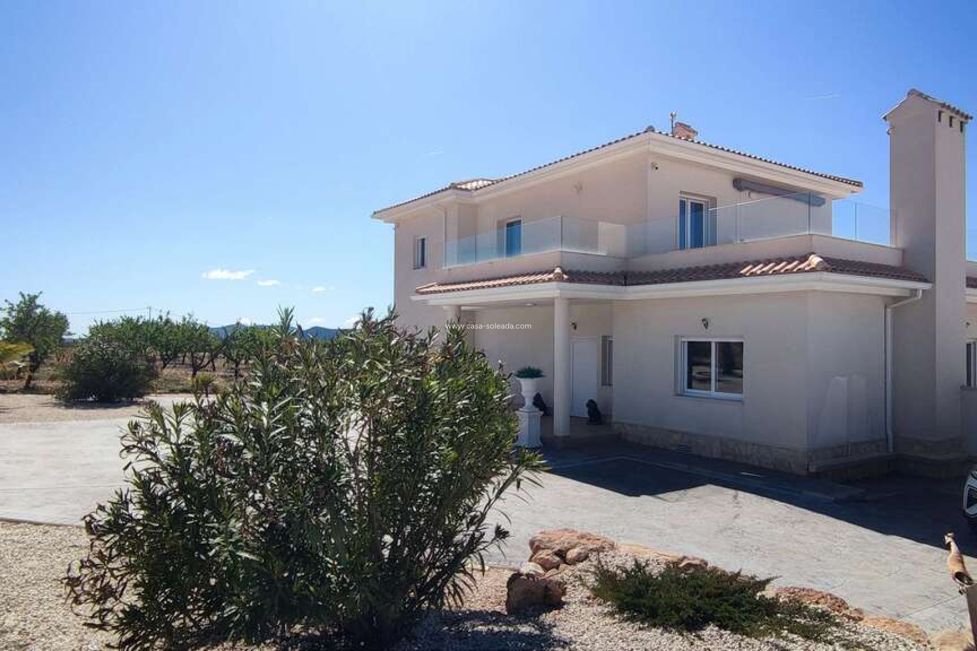 Herverkoop - Villa - Pinoso - Inland