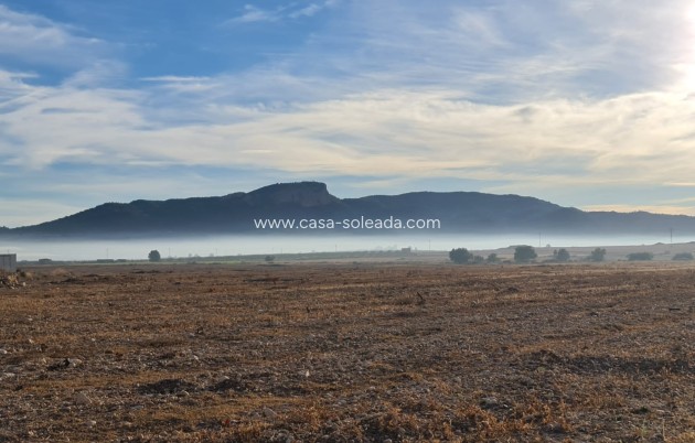 Land - Resale - Monóvar - Inland