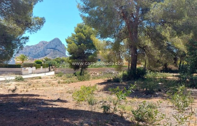 Land - Reventa - Calpe - Costa Blanca