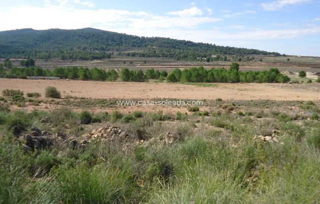 Land - Reventa - Monóvar - Inland