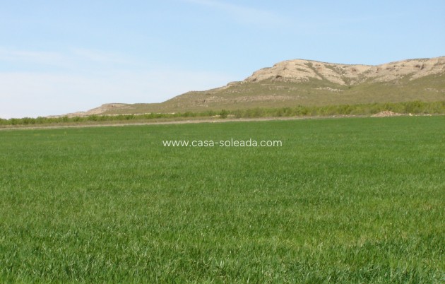 Land - Wiederverkauf - Yecla - CSRES-34232