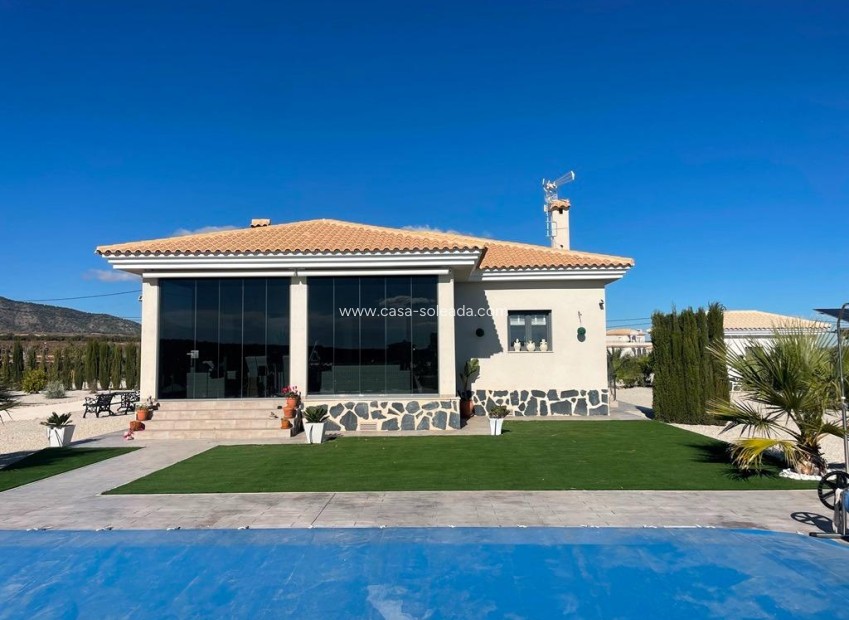 Neue Gebäude - Villa - Pinoso - Camino Del Prado