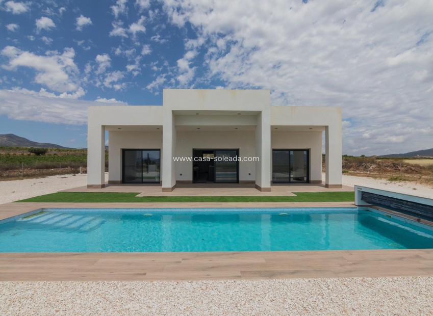 Neue Gebäude - Villa - Pinoso - Lel