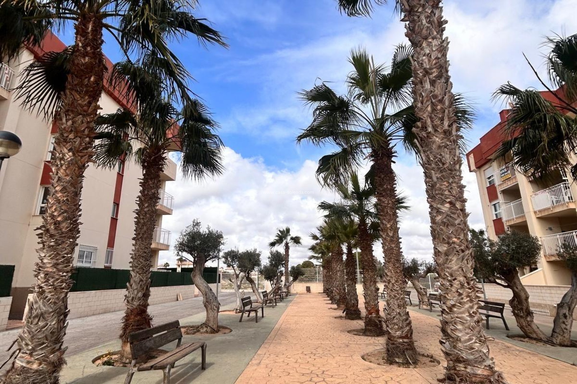 Neue Gebäude - Wohnung - Orihuela Costa - Lomas de Cabo Roig