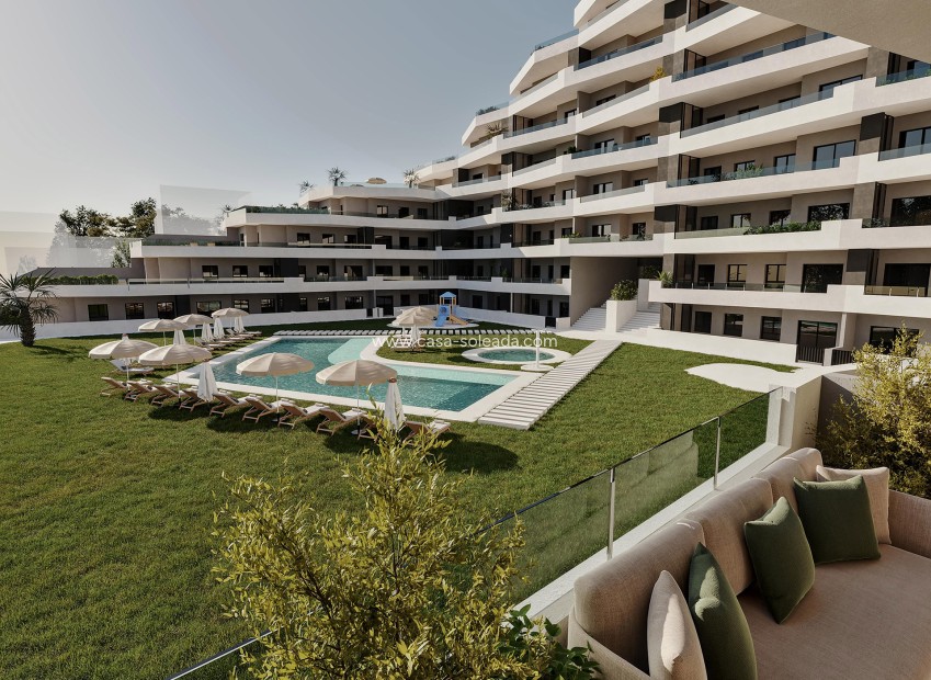 Neue Gebäude - Wohnung - San Miguel de Salinas
