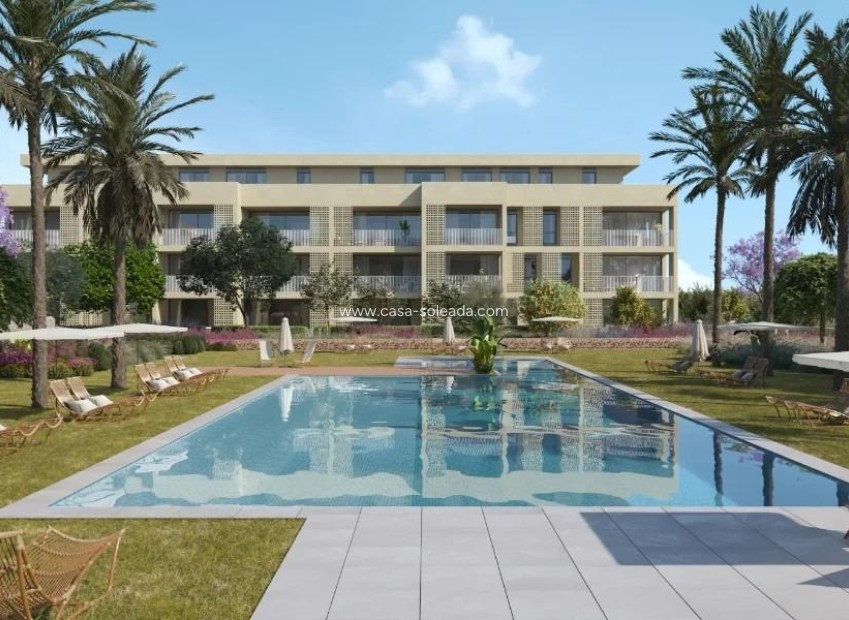 New Build - Apartment / flat - Denia - Camí de Sant Joan