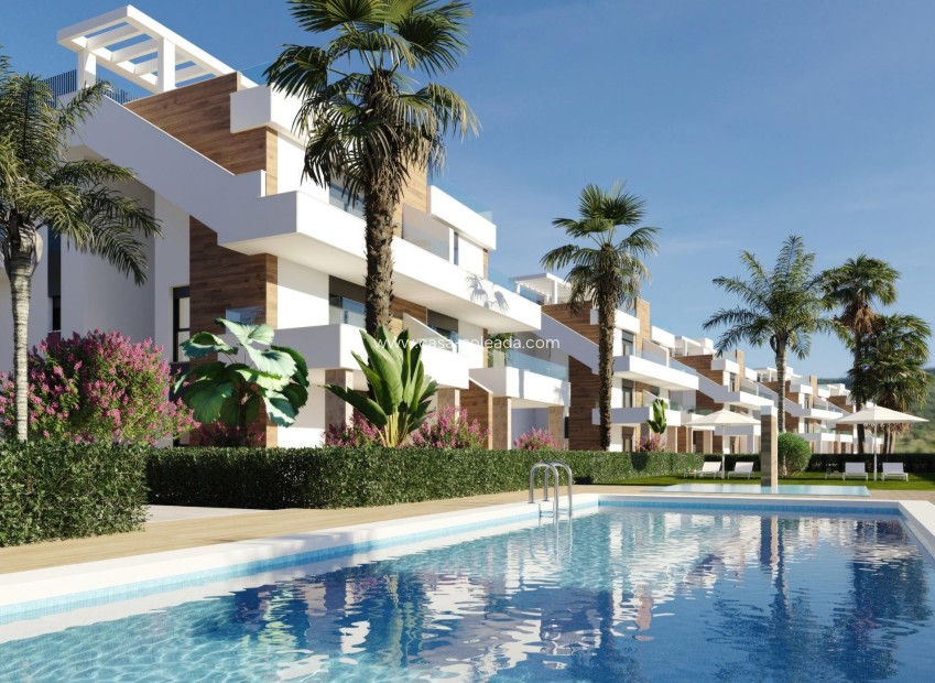 New Build - Apartment / flat - Fuente Alamo - Hacienda del Alamo