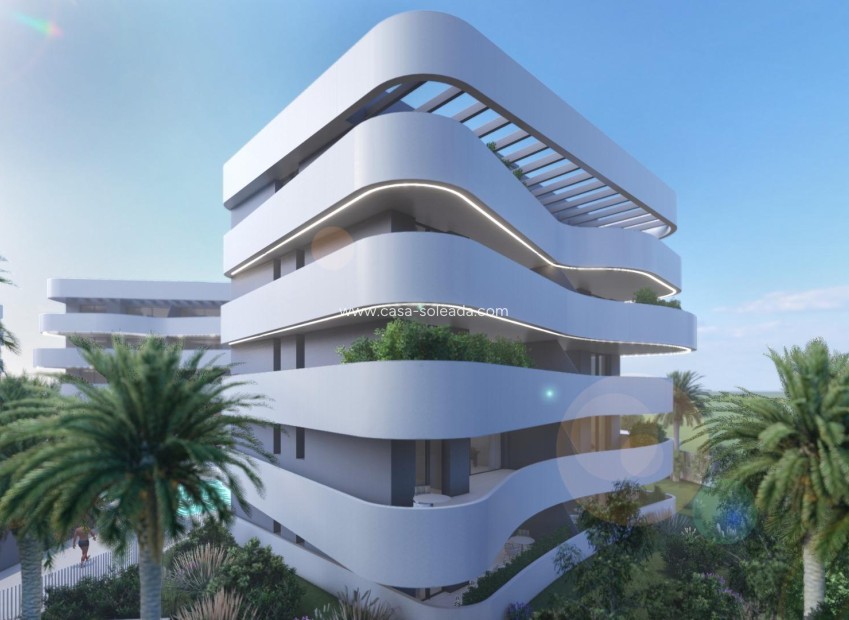 New Build - Apartment / flat - Guardamar del Segura - El Raso