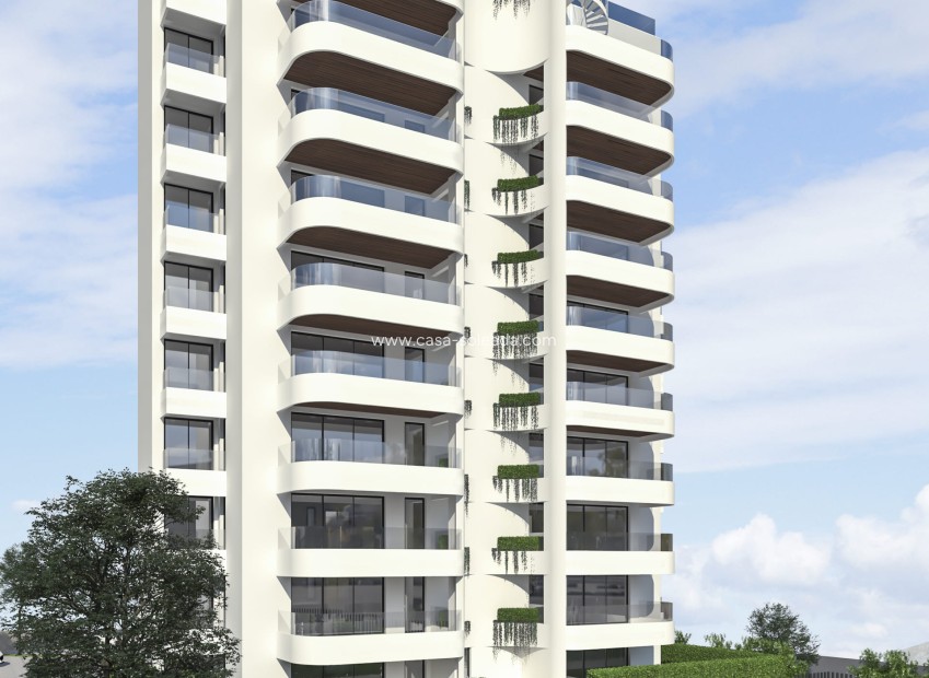 New Build - Apartment / flat - Guardamar del Segura