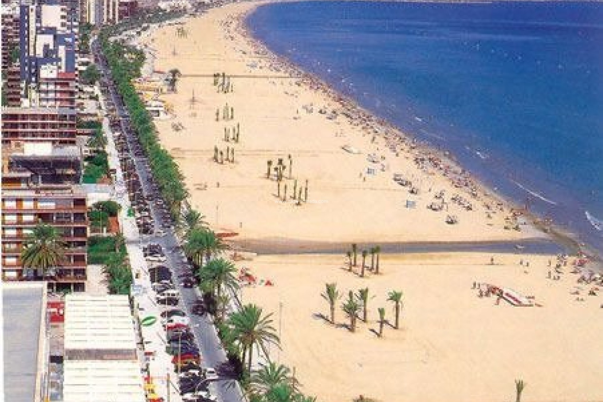 New Build - Apartment / flat - San Juan Alicante - Franc Espinós